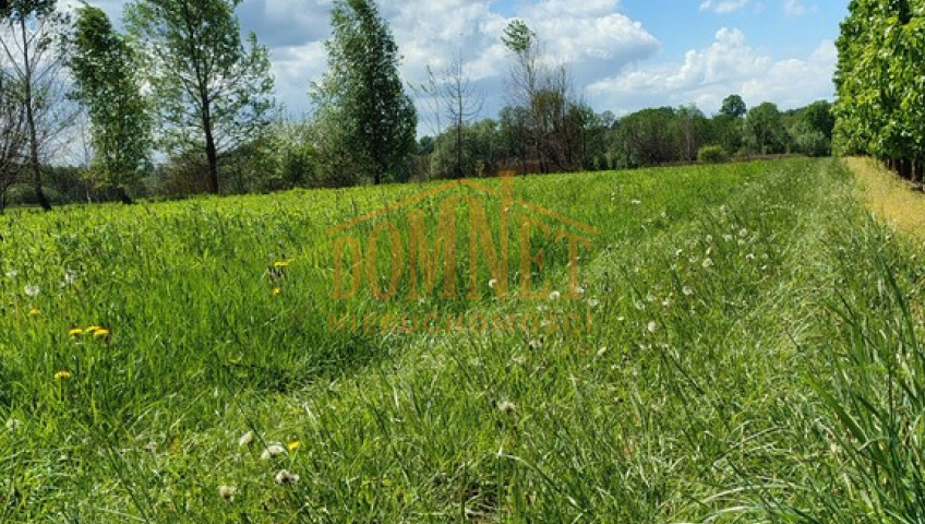 Działka Sprzedaż Dębówka